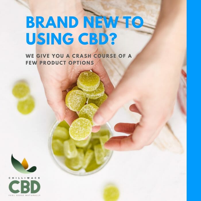 brand new to using CBD